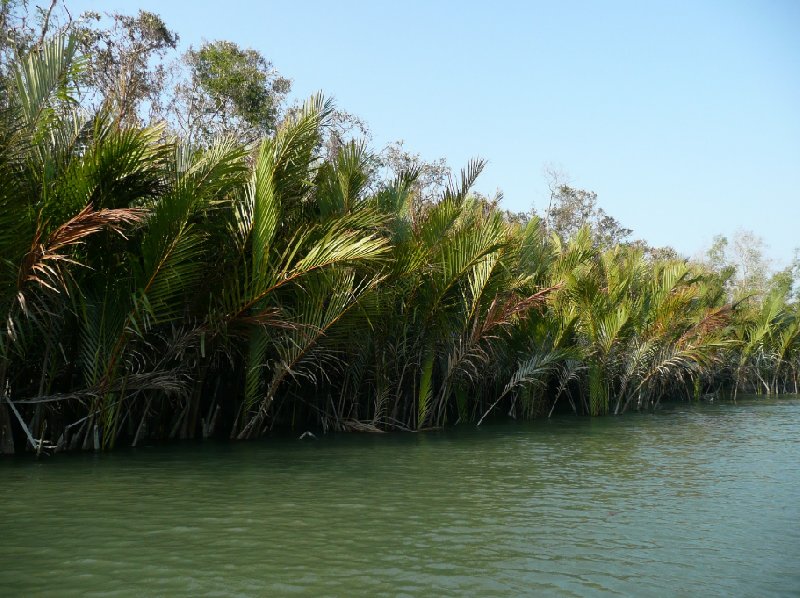 Pictures of the Sundarbans National Park, Bangladesh, Bangladesh