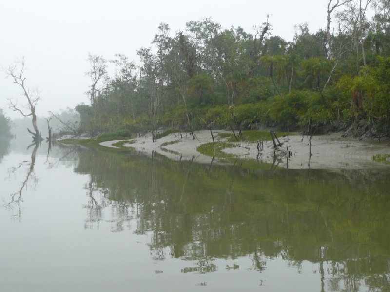 Sundarbans Bangladesh Sundarbans National Park, Bangladesh