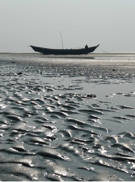 Sundarbans Bangladesh Photos of the Bay of Bengal, Bangladesh