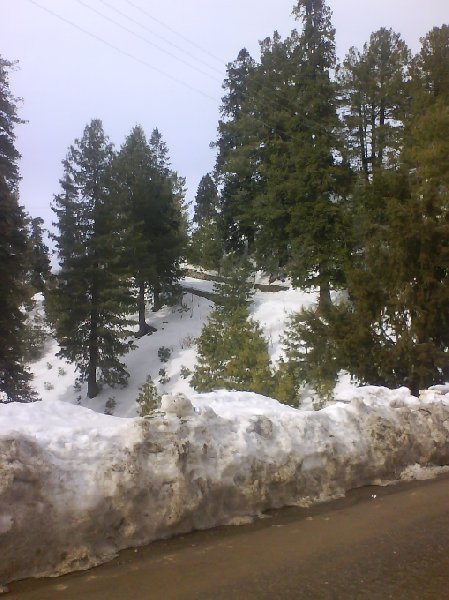 Wintertime in Murree, Pakistan, Pakistan