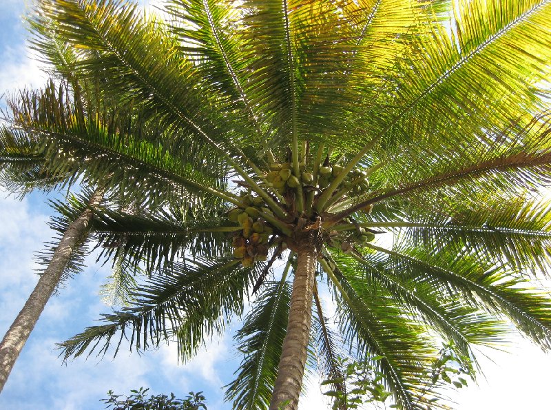 On the beach in Nouméa, New Caledonia, New Caledonia