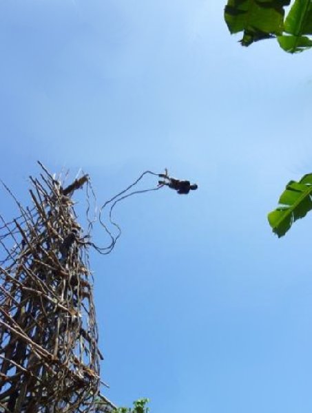 Photos of the Nangol ritual on Pentecost Island, Vanuatu, Vanuatu