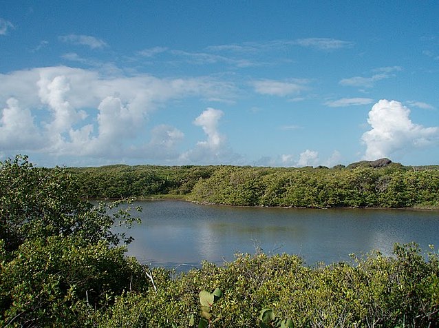 Inland pond in Aguilla, Lesser Antilles, The Valley Anguilla