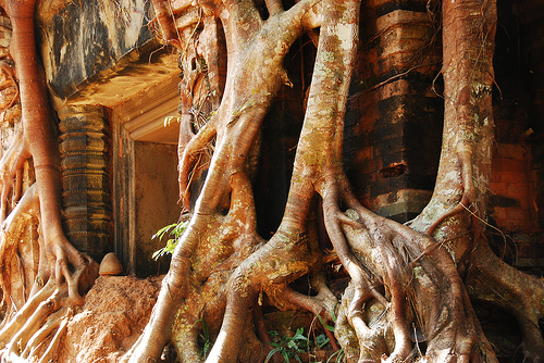 Siem Reap Cambodia 