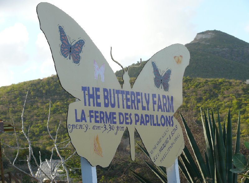 The Butterfly Farm in Philipsburg, Sint Maarten, Netherlands Antilles