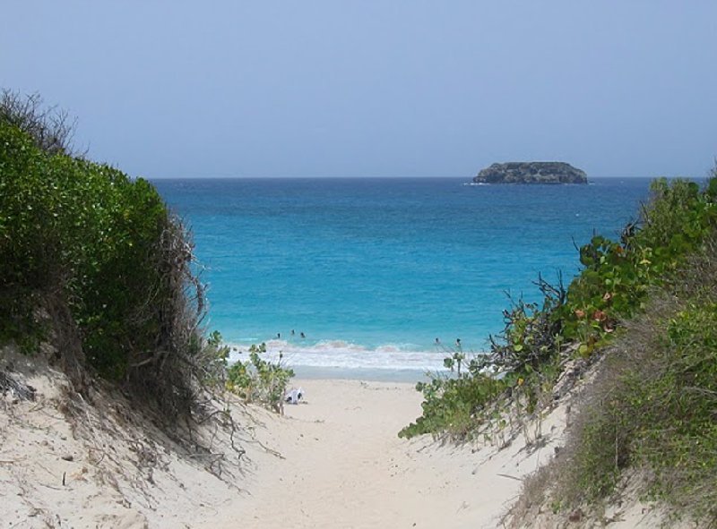 Photos of Saline Beach, Saint Barthelemy, Saint Barthelemy