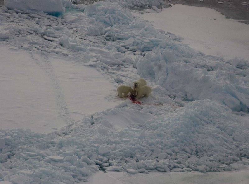 Helicopter ride over the Arctic Wonderland of Greenland, Greenland