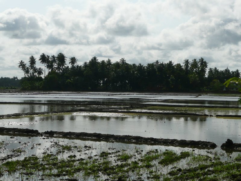 Yala National Park, Sri Lanka, Tissa Sri Lanka