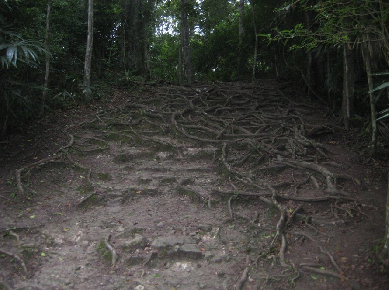 Excursion to the Tikal National Park, Guatemala, Guatemala