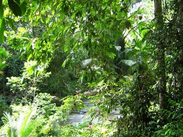 Pictures of waterfalls near Wewak, Papua New Guinea, Papua New Guinea