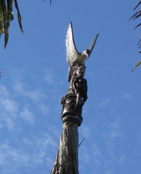 The rooftop of the Windjammer , Wewak Papua New Guinea