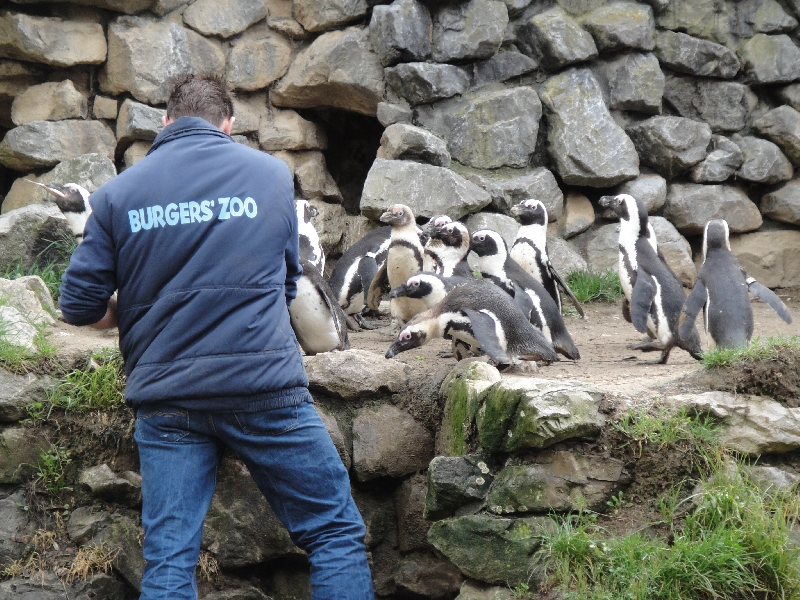 Pictures of the Arnhem Zoo Holland Netherlands Review Picture