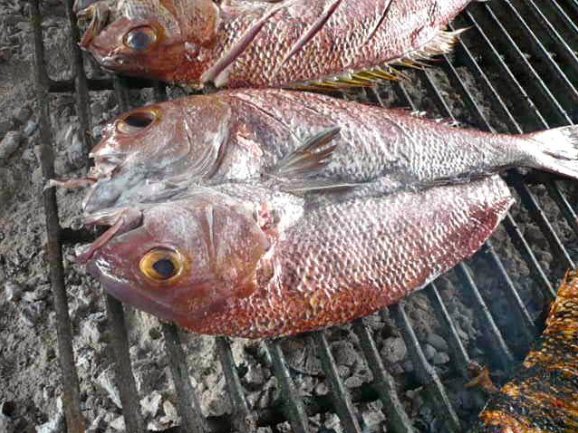 Grilled fish on the BBQ in Dili, Timor, Dili East Timor