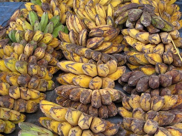 Banana's in Dili on the market, Dili East Timor