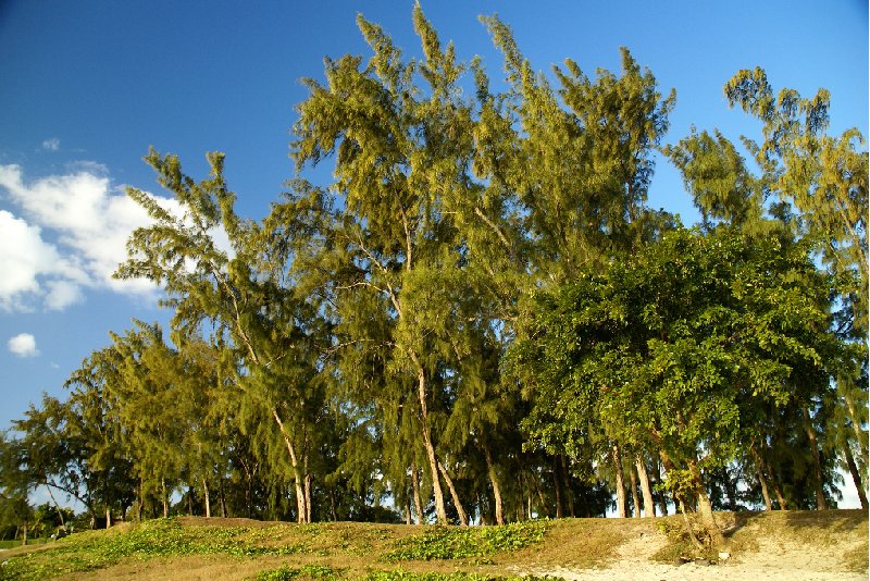 Photo Blue Bay and the Beaches of Mauritius island