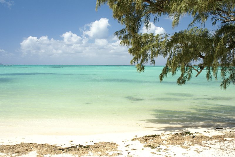 Photo Blue Bay and the Beaches of Mauritius include