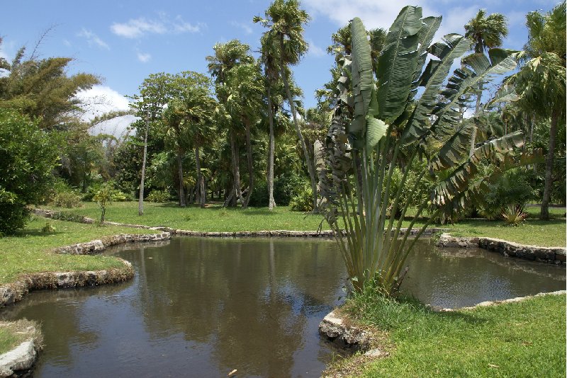 Blue Bay and the Beaches of Mauritius Album