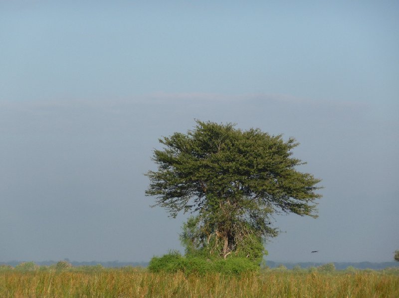 Hippo's in Liwonde National Park Malawi Vacation Adventure