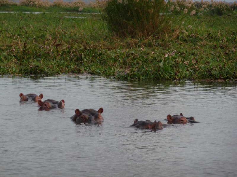   Liwonde Malawi Review Picture