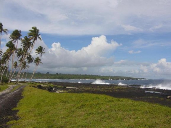   Apia Samoa Trip Experience