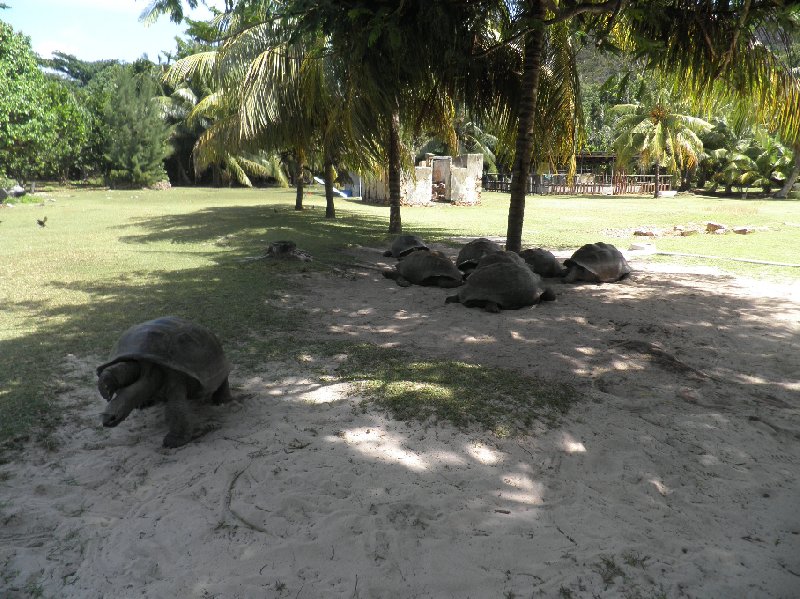 Sailing Seychelles Best Beaches Victoria Album