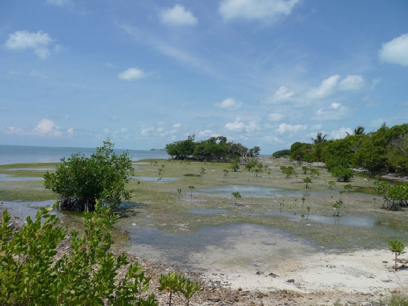 From Belize City to Caye Caulker Island Blog Pictures