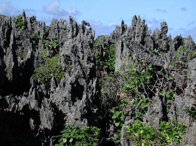 Photo The Landscapes of Niue Island biggest