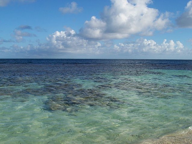 Photo Pictures of Antigua and Barbuda beaches Barbuda