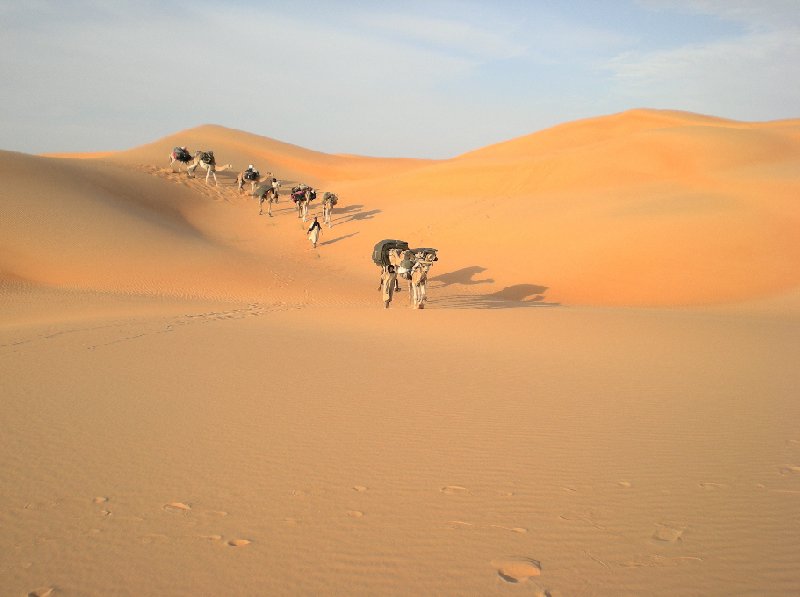 Desert camel ride to the Terjit Oasis Mauritania Holiday Sharing