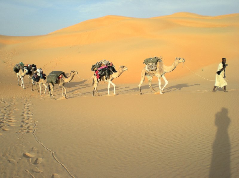 Desert camel ride to the Terjit Oasis Mauritania Blog Review