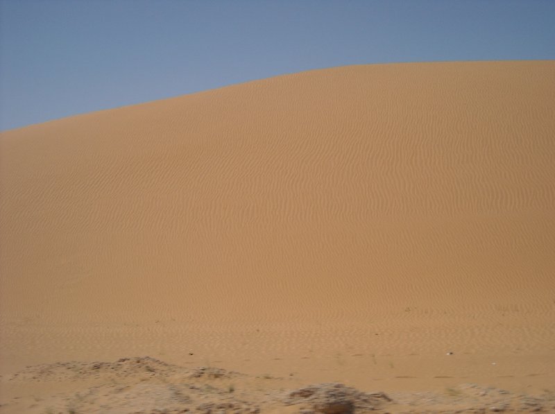 Desert camel ride to the Terjit Oasis Mauritania Vacation Picture