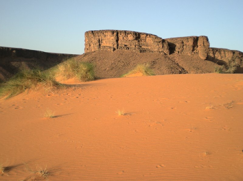 Photo Desert camel ride to the Terjit Oasis adventurous