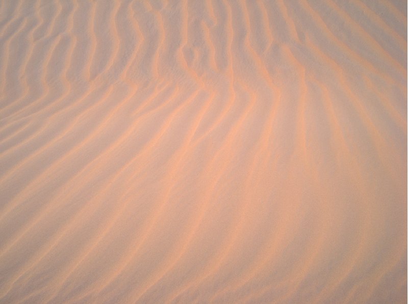 Photo Desert camel ride to the Terjit Oasis enough