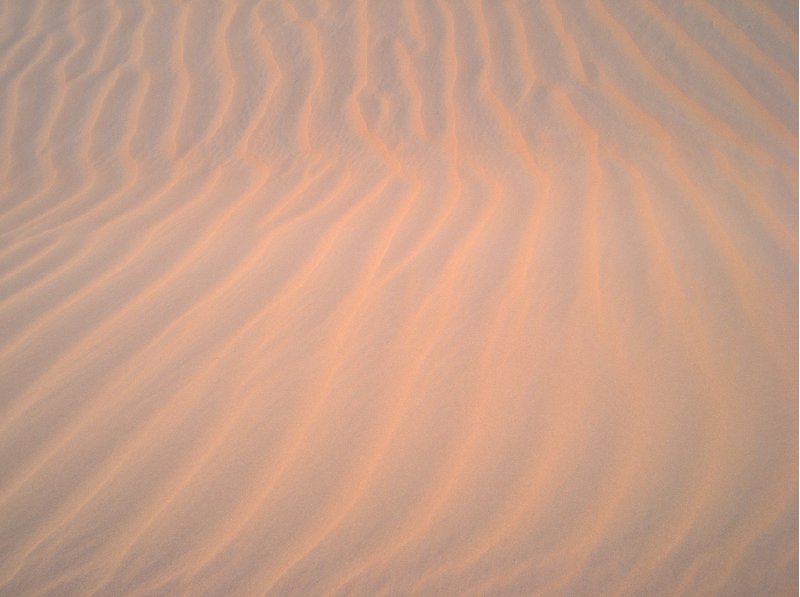 Desert camel ride to the Terjit Oasis Mauritania Vacation Guide