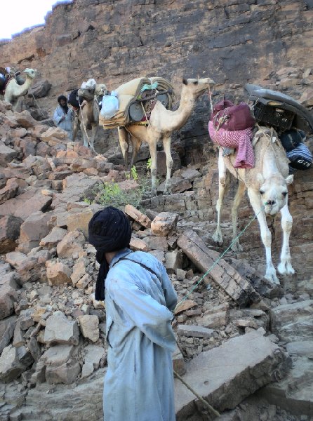 Photo Desert camel ride to the Terjit Oasis destination