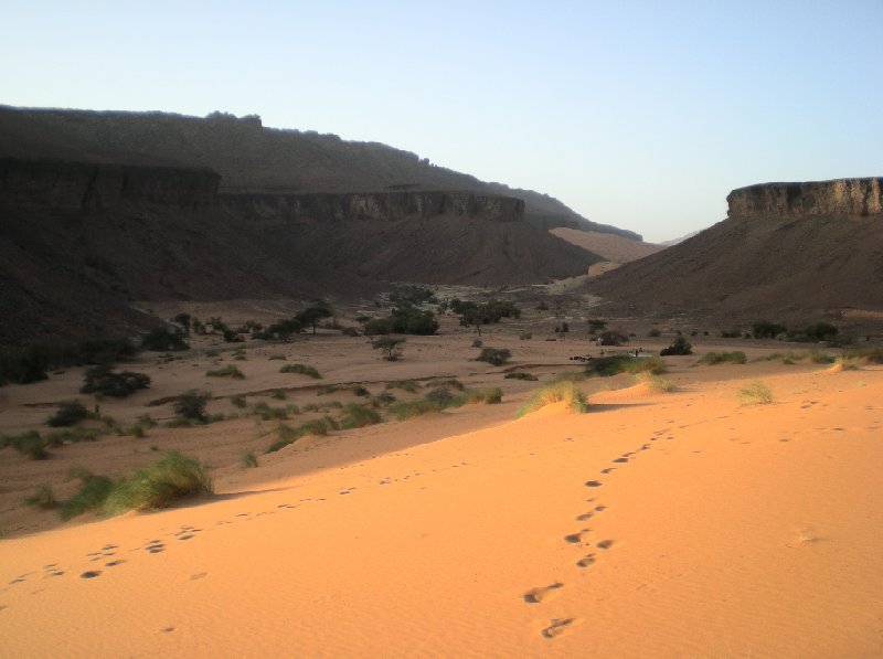 Desert camel ride to the Terjit Oasis Mauritania Holiday Adventure