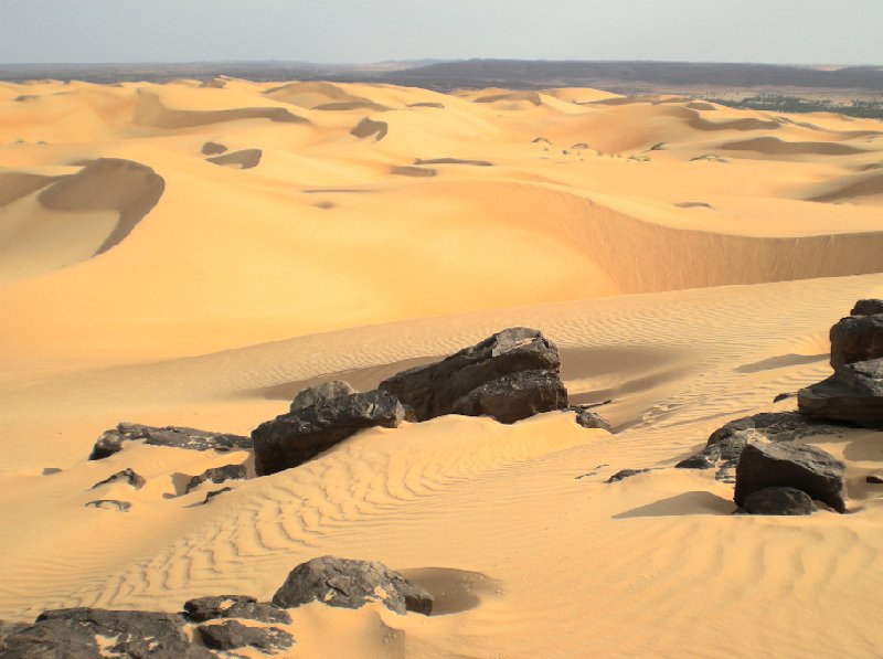 Photo Desert camel ride to the Terjit Oasis desert