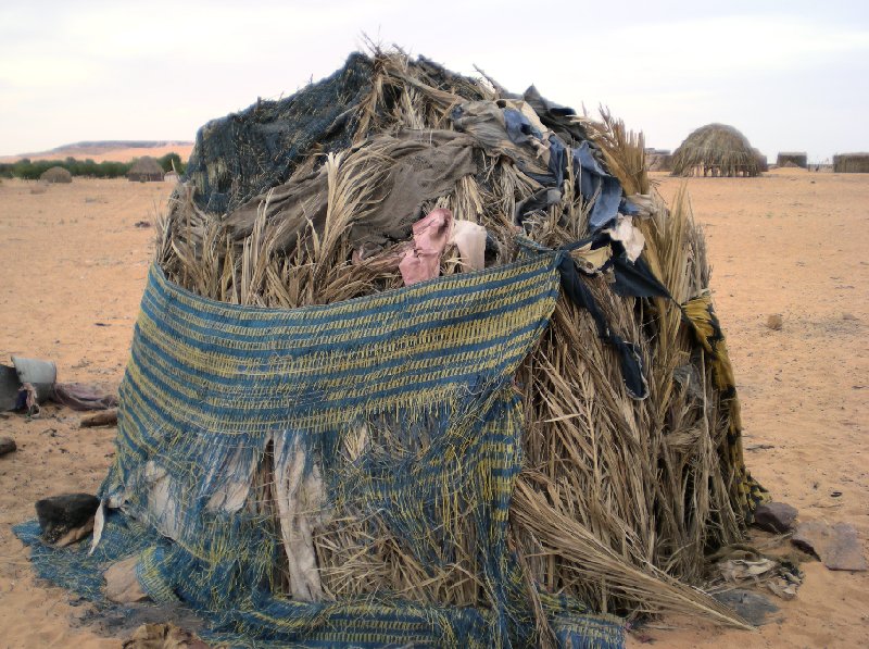 Desert camel ride to the Terjit Oasis Mauritania Diary Tips