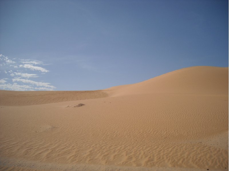 Desert camel ride to the Terjit Oasis Mauritania Travel Picture