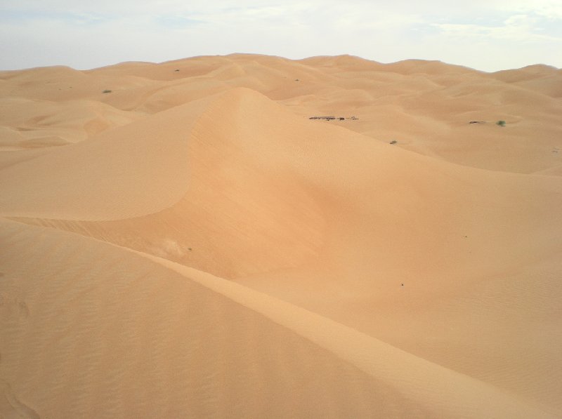 Photo Desert camel ride to the Terjit Oasis Terjit