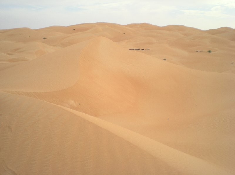 Desert camel ride to the Terjit Oasis Mauritania Travel Guide