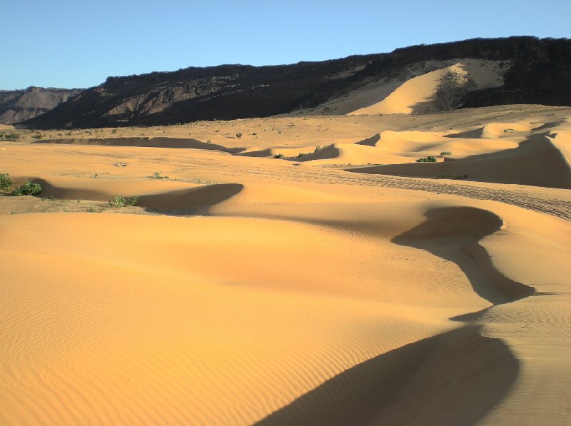 Photo Desert camel ride to the Terjit Oasis amazing
