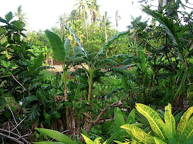 Mata-utu Wallis and Futuna 