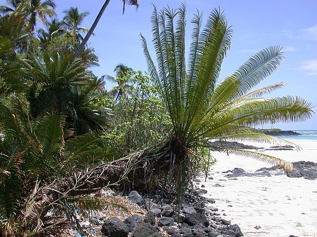   Moroni Comoros Holiday Adventure