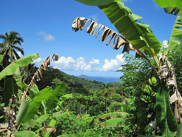 Photo Le Moroni Hotel Comoros lovely