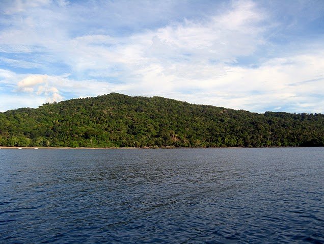 Photo Wildlife pictures Mayotte Island plenty