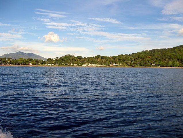 Photo Wildlife pictures Mayotte Island course