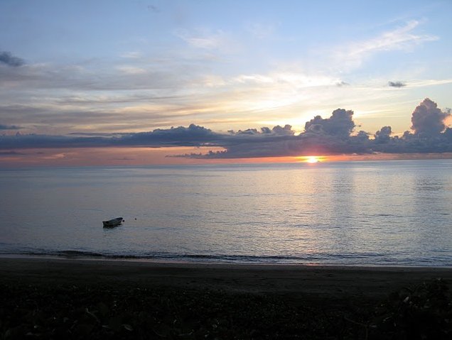 Photo Wildlife pictures Mayotte Island presence