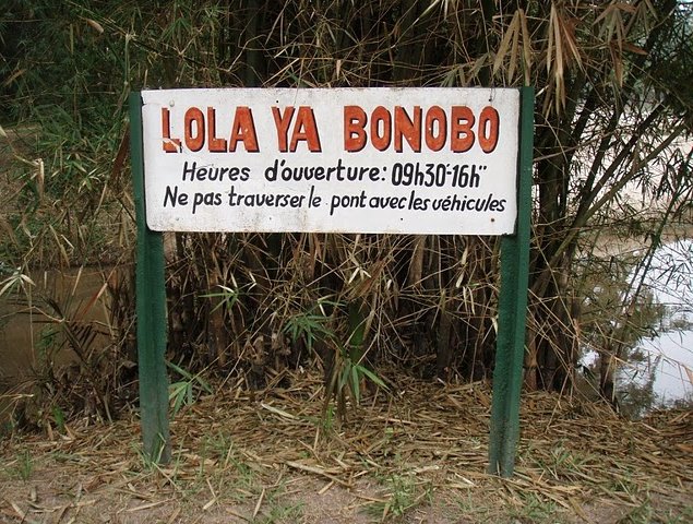 Lola Ya Bonobo sanctuary near Kinshasa Democratic Republic of the Congo Travel Package