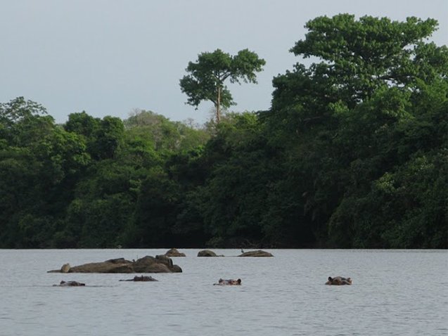 Outamba-kilimi national park Kamakwie Sierra Leone Trip Review